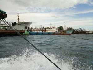 Pemda Kaimana Minta PT AML Lunasi Hutang Rp 3,5 Miliar
