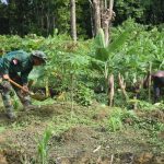 Prada Nilus, Satgas TMMD yang membantu Pak Amos membersihkan kebun