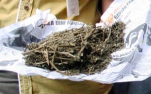 Menjual Ganja, Bapak Dua Anak ini Dituntut Enam Tahun Penjara
