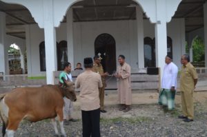 Masjid Al-Hikmah SP Dapat Hewan Qurban, Bupati Kasihiw: Semoga Bermanfaat Bagi Masyarakat