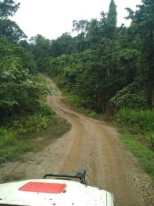 Pembangunan Jalan Uruhan Pilihan Meningkat 10 Persen