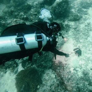 Kolaborasi Perangi Populasi Bintang Laut Berduri di Perairan Raja Ampat
