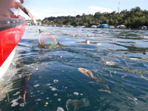 Alumni SMA 2 Jayapura Angkatan 99 Bersihkan Sampah di Teluk Humblot