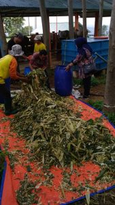 Saung Berkarya, Dinilai Solusi Bagi Masa Depan Indonesia