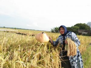Mardiana Indraswati: Masyarakat Jatim Rindu Program Kerakyatan Pak Harto