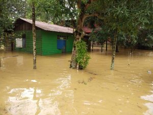 Puluhan Rumah di Kampung Bina Desa Teluk Bintuni Direndam Banjir