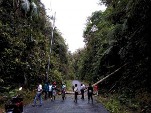 Membahayakan..!! Tiang Listrik Tumbang Di Jalan Utama Ayamaru Utara- Mare Selatan Tak Kunjung Diperbaiki