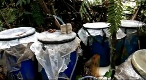 Polsek Salawati dan Polres Sorong Bongkar Pabrik “Cap Tikus” di Tengah Hutan