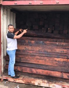 Polda Papua Barat Gagalkan Pengiriman 4 Kontainer Kayu Merbau ke Surabaya