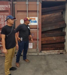 Lagi, Ditreskrimsus Polda PB Gagalkan Penyelundupan 5 Kontainer Kayu Merbau Milik Bos Bowo