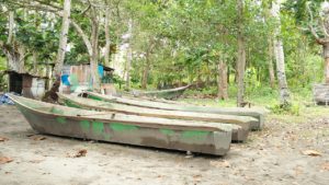 Oknum ASN di Raja Ampat, Diduga Manipulasi Laporan Dana Desa