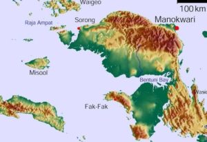 LP3BH Pertanyakan Status Kepemilikan Tanah Manokwari Yang Dikuasai Non OAP