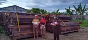 Dua Tersangka Kasus Kehutanan Dilimpahkan Ke Kejari Sorong