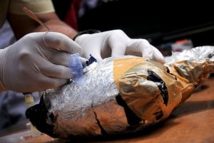Pemilik 1 Bungkus Plastik Besar Sabu, Caesar Divonis 5 Tahun Penjara