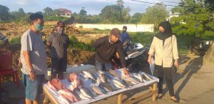 Dampak Corona, Supir Taksi Bandara DEO Alih Profesi Jual Ikan Di Jalan