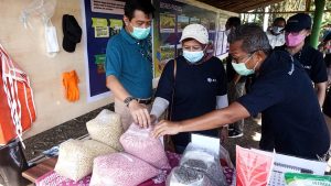 Tiga Kementrian Kunjungi Pabrik Edamame ANJ Di Jember