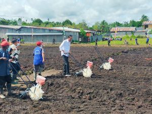 Dari Sekian Banyak Lahan Pertanian Hanya Terpakai 33 Persen
