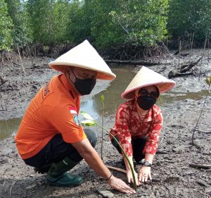 Basarnas Sorong Tanam 50 Bibit Pohon Mangrove