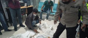 Karantina Bandara DEO Gagalkan Penyelundupan Ratusan Satwa Jenis Reptil