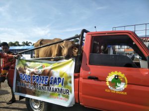 PHBI Bersama KUD Tani Makmur Bagi-bagi Doorprize 3 Ekor Sapi