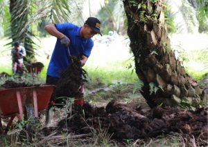 Grup ANJ Raih Nilai Terbaik Pengelolaan Risiko ESG dan Transparansi