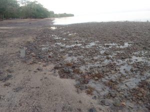 Selain Mengeluhkan Pencemaran Lingkungan, Pemilik Tempat Wisata Minta Izin PT BJA Dicabut