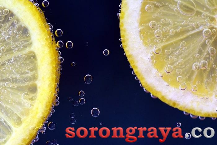 Beberapa Manfaat Infus Water Lemo Untuk Kesehatan Anda