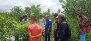 Kunjungi Kampung Malajaba, Mahasiswa Faperta Unamin Sosialisasikan Pertanian Masa Depan