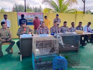 Ditpolair Polda Papua Barat Tangkap Pemandu Wisata yang Bawa 347 Gram Ganja