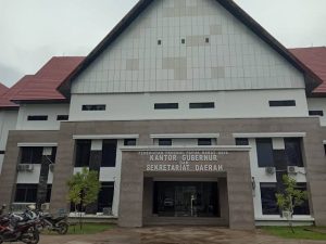 Andi Asmuruf Nilai Struktur Pemerintahan PBD Belum Mengacu UU Otsus