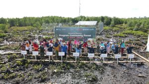 Penanaman 10 Juta Pohon Jadi Target PKT Turunkan Emisi Karbon Hingga 2030