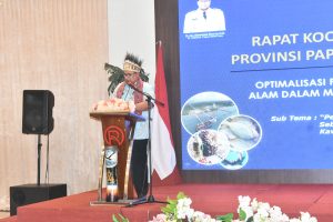 Optimalisasi KEK Sorong Mempercepat Pertumbuhan Ekonomi Papua Barat Daya