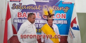 Ketua Perindo Sebut Petronela Kambuaya Masuk 3 Besar Dapat Rekomendasi