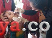 PT ANJ Bantu Imunisasi Polio di Sorong Selatan