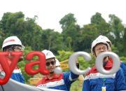 Kilang Kasim: Jantung Energi Indonesia Timur