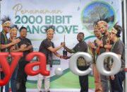 Pertamina RU VII Kasim Tanam 2000 Pohon Mangrove