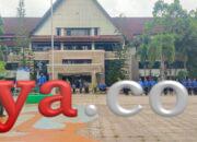 Hari Bhakti Rimbawan, Komitmen Pemprov PBD lestarikan Hutan