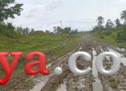 Jalan Rusak di Distrik Segun, Warga Minta Perhatian Pemda