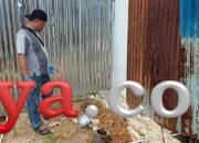Penemuan Janin Bayi Gegerkan Warga, Diduga Hasil Aborsi