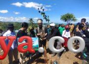 Pertamina EP Papua Field Tanam 110 Ribu Pohon