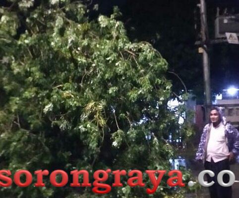 Baru Menjabat, Kadis Lingkungan Hidup Kota Sorong Atasi Pohon Tumbang