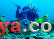 Raja Ampat Dilindungi Bukan Ditambang, Konservasi Indonesia Sambut Keputusan Pemerintah