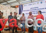 Bantuan Pangan Kota Sorong Siap Disalurkan