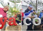 Sejukkan Kota Sorong Lewat Penanaman Pohon