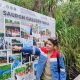 Saupon Gallery Wall Dokumentasi Awal Masuknya Pertamina Ke Adventure Village Saupon