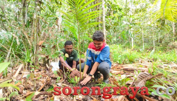 Jaga Kelestarian Hutan, PT KPI Kilang KasimTanam Pohon Mangrove di Kampung Woifoi