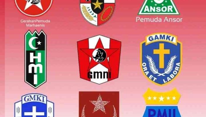 Berikut Nama OKP Peserta Musda VI KNPI Kota Sorong