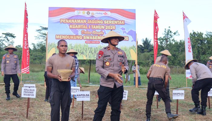 Program Nasional, Polda PBD Penanaman Raya Jagung Pipil 