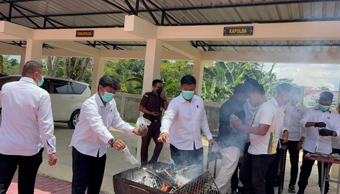 Polda Papua Barat Daya Musnahkan Hampir 8 Kilogram Ganja