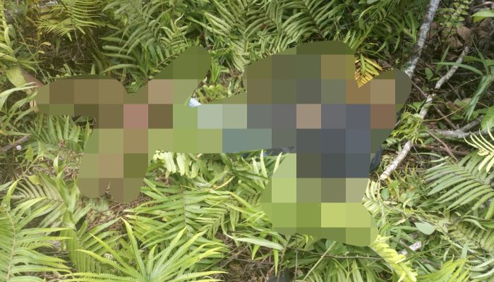 Empat Nakes Diserang OTK di Tambrauw, Dua Gugur Saat Bertugas